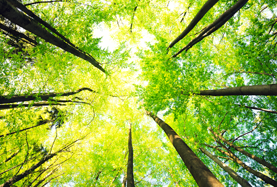 SUMMARY: GBI/CEBDS - Climate and human rights workshop for business practitioners in Brazil 2023