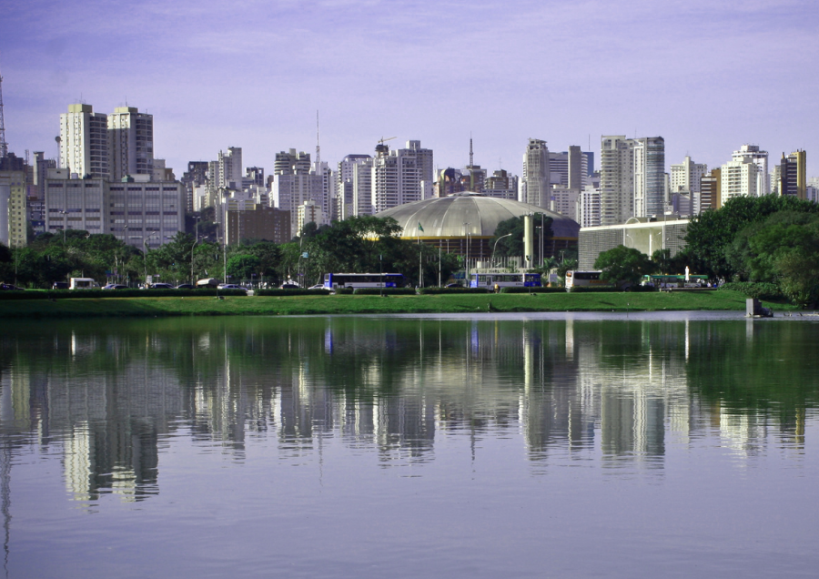BLOG: Read insights from GBI/WBCSD’s workshops Brazil 2020