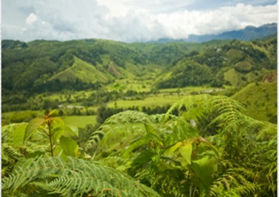 REPORT: GBI Roundtable Colombia 2010