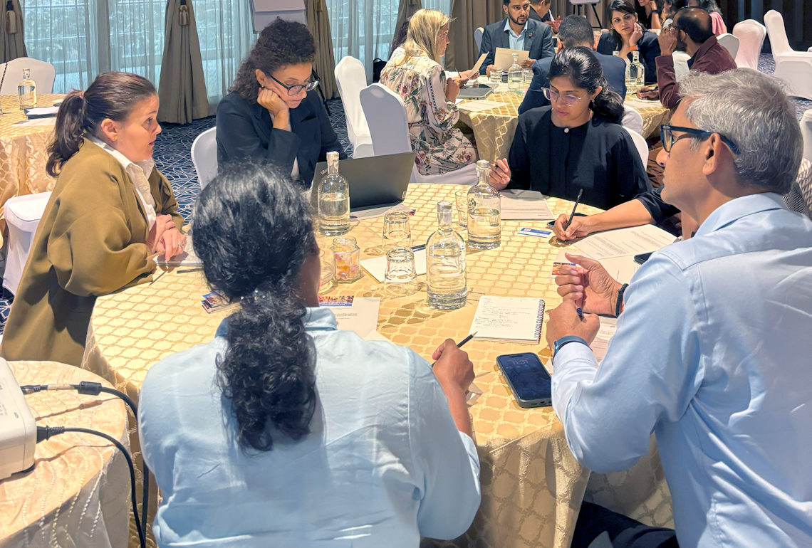 SUMMARY: Workshop for business practitioners on meaningful stakeholder engagement - Bengaluru, India 2025