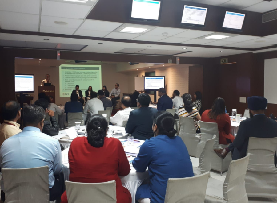 REPORT: GBI/WBCSD Workshop Mumbai 2019