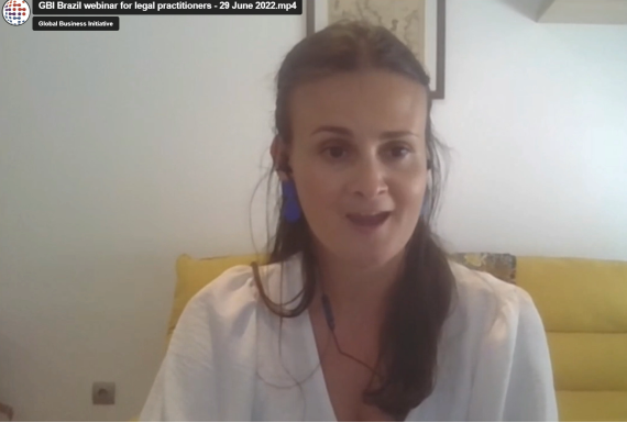 WEBINAR FOR LEGAL PRACTITIONERS: Brazil 2022