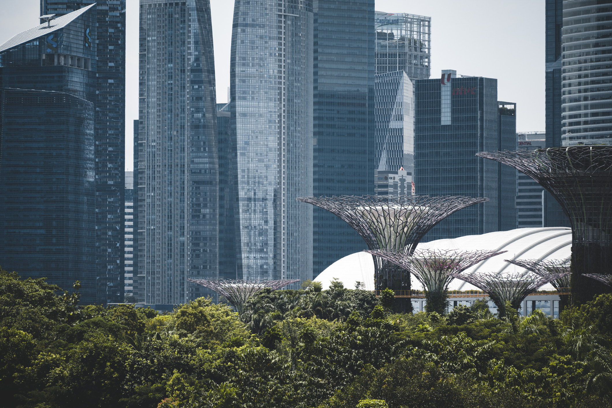 SUMMARY: GBI/WBCSD Workshops Southeast Asia 2021