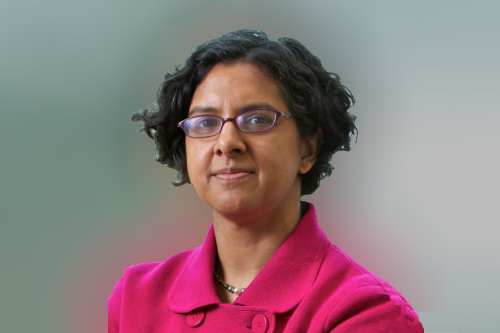 Professor Anita Ramasastry 